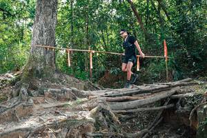 BIB: 
                            <button type="button" onclick="openModal(27804330)" class="btn btn-primary btn-sm float-right btn-popup" data-toggle="modal" data-target=".modal-high-quality">
                        <i class="fas fa-shopping-cart"></i> Add to Cart
                    </button>
                                            <button type="button" onclick="isThisMe(27804330, true)" class="btn btn-success btn-sm float-right btn-popup btn-isme hidden" data-toggle="tooltip" data-placement="bottom" title="นี่คือรูปของคุณใช่ไหม คลิกที่นี่เพื่อเอาเข้าอัลบั้ม">
                        <i class="fas fa-plus"></i> Add to album
                    </button>
                    <button type="button" onclick="isThisMe(27804330, false)" class="btn btn-warning btn-sm float-right btn-popup btn-isnotme hidden">
                        <i class="fas fa-ban"></i> Remove from album
                    </button>